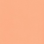 Sandable textured cardstock Mango, 12