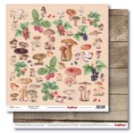 Double-sided paper 12x12 Forest Mushrooms & Berries 190gsm (10 sheets per pack)