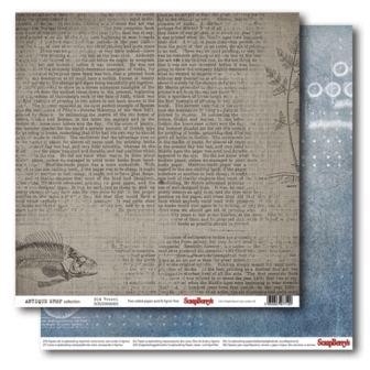 Double-Sided Paper 12