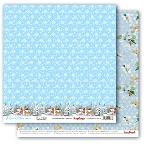Double-sided paper 12