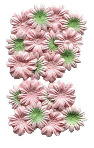 Mulberry Paper Flowers Set (20pcs) (28mm, ) Peach & Green (2 Colours)