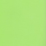 Sandable Textured Cardstock Green lawn, 12
