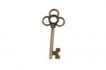 Metal charms set KEY WITH THE PETALS 53*24mm, 5pcs