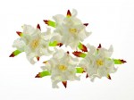 Gardenia 5cm 4 pcs in a pack WHITE