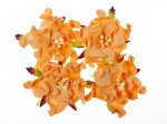 Gardenia 5cm 4 pcs in a pack PEACH