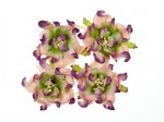 Gardenia 5cm 4 pcs in a pack PURPLE & GREEN