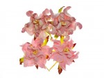 Gardenia 5cm 4 pcs in a pack PINK/PINK&WHITE