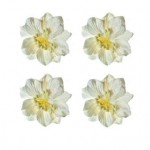 Gardenia white, set 4 pcs, dia 5cm