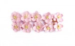 Cherry Blossom (10 piece set) Light-Rose