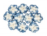 Cherry Blossom (10 piece set) White & Blue