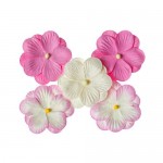 Pansies, a set of double flowers 5 pieces, pink