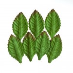 Set of Leaves (7 Pieces per pack) Rose