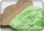 Shabby ribbon, fresh green, 10mm, 1m (clr 70)